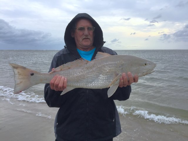 IMG_2951 revised.JPG