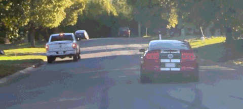 mustang showoff 4.gif