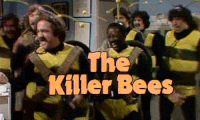 killer bees.gif